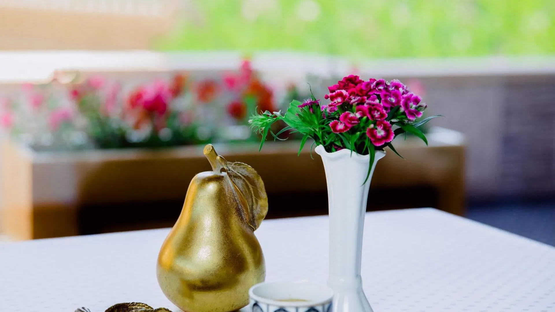 Vaali Hotel Baku 0*,